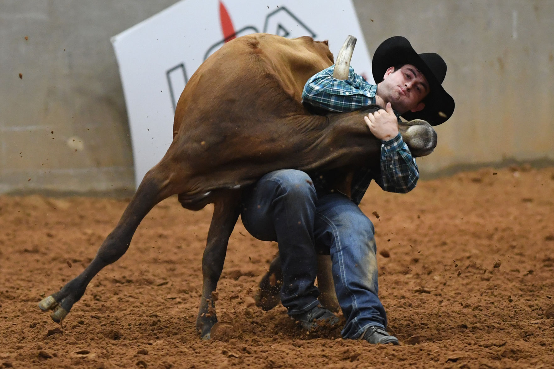 Brazos Valley Fair and Rodeo
